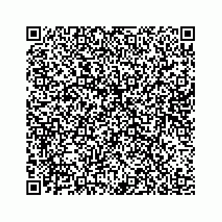 vCard 78185838113