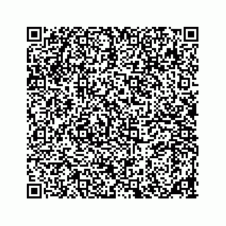 vCard 78185838116