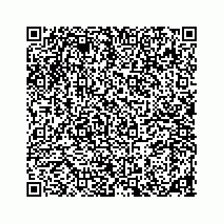 vCard 78185838119