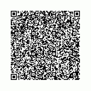 vCard 78185838121
