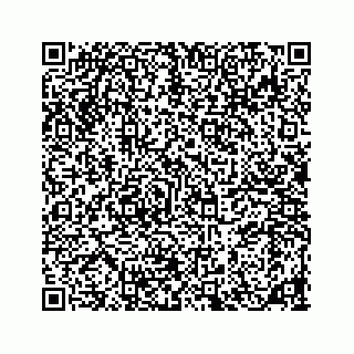 vCard 78185838125