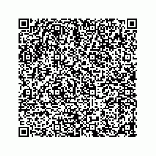 vCard 78185838127