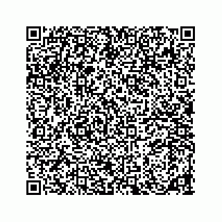 vCard 78185838133