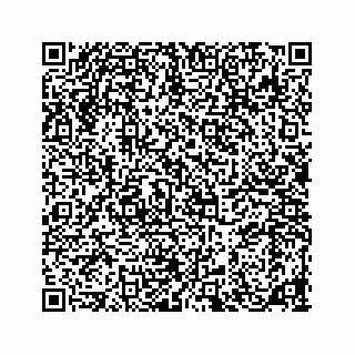 vCard 78185838139
