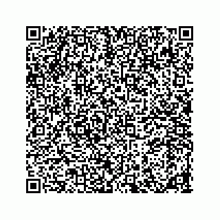 vCard 78185838140