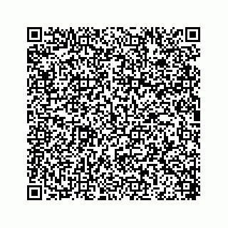 vCard 78185838153