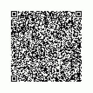 vCard 78185838155