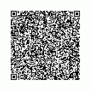 vCard 78185861300
