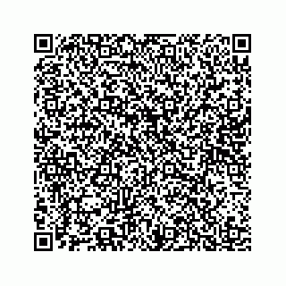 vCard 78185867113