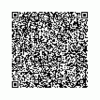 vCard 78185867278