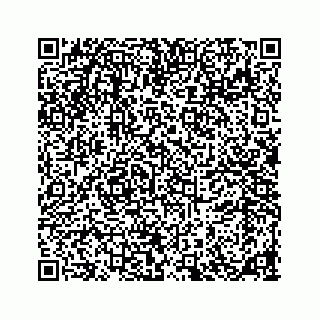 vCard 78185867295