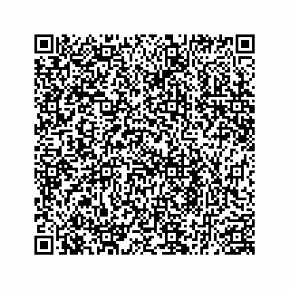 vCard 78185867317