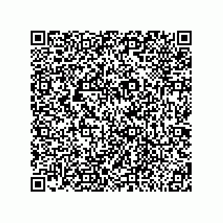 vCard 78185950013
