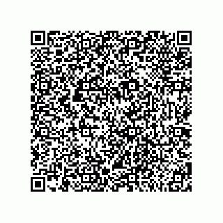 vCard 78185950385