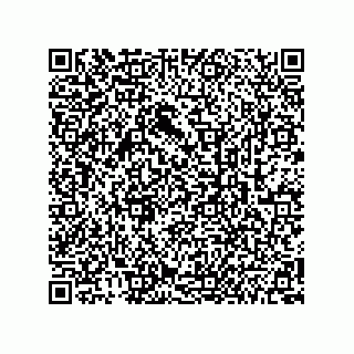 vCard 78212480039