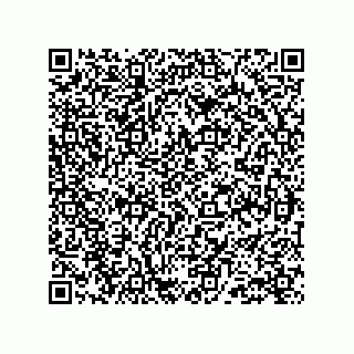 vCard 78213193873