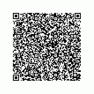 vCard 78213195383
