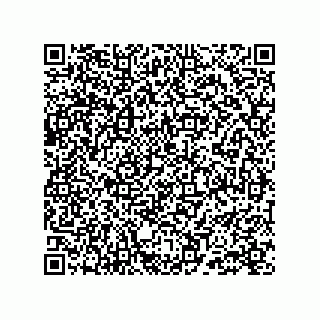vCard 78213331300