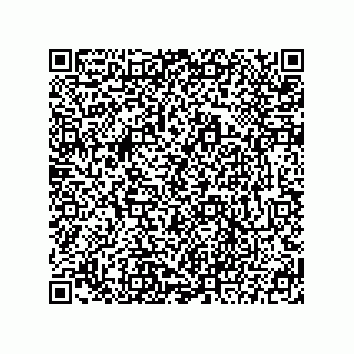 vCard 78213694100