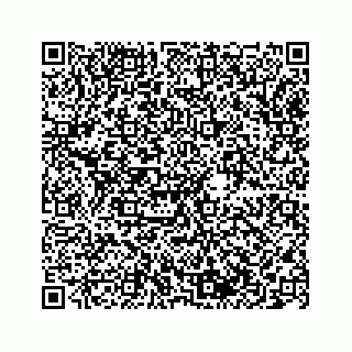 vCard 78213899038