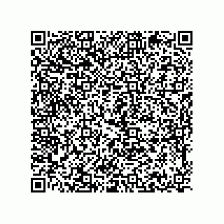 vCard 78214713203