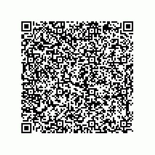 vCard 78214713333