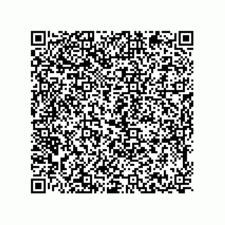 vCard 78214713379
