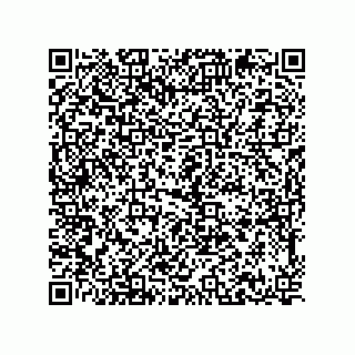 vCard 78214713381