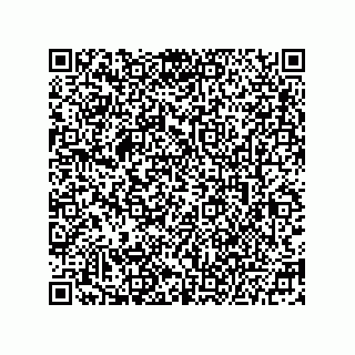vCard 78215120384