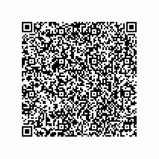 vCard 78215193387