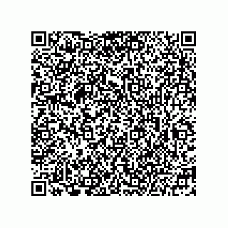 vCard 78215196313