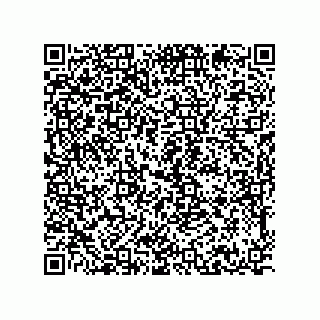 vCard 78216200499