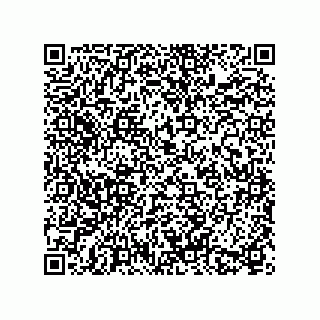 vCard 78216700039