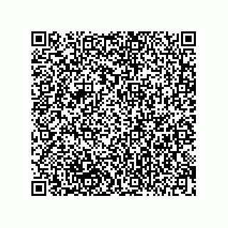 vCard 78216719331