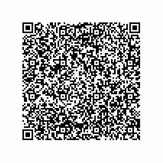 vCard 78216795039