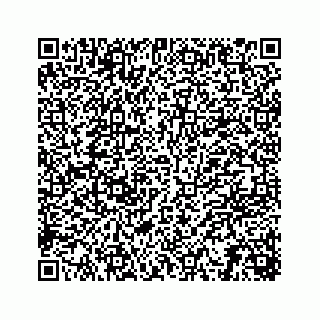 vCard 78312120035