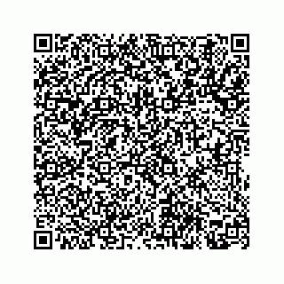vCard 78312790333