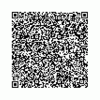 vCard 78312809480