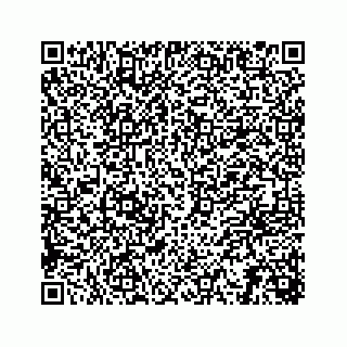 vCard 78312908011