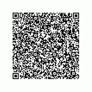 vCard 78313237877
