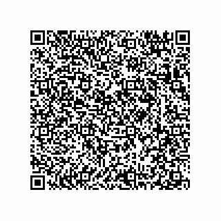 vCard 78313237879