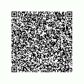 vCard 78313237880