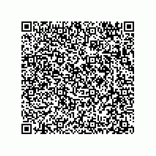 vCard 78313237881