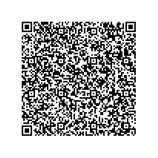 vCard 78313237887