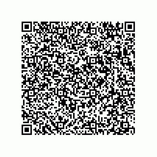 vCard 78313237904
