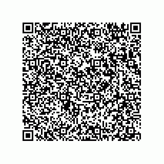 vCard 78313237907