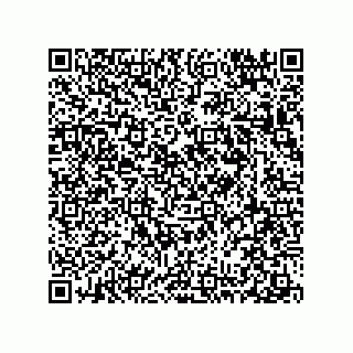 vCard 78313237921