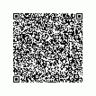 vCard 78313237933