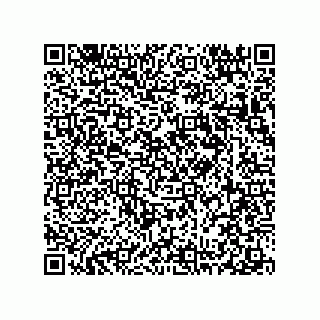 vCard 78313237934