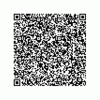 vCard 78313237935